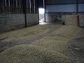 Floor levelling
